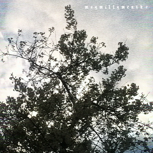 demo1:whiteflowercherrytree